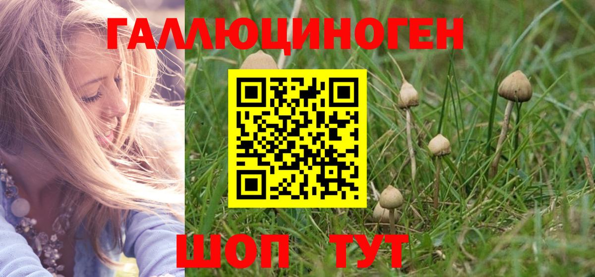 Соликамск  Галлюциногенные грибы GOLDEN TEACHER  дарнет шоп  Вход с VPN 